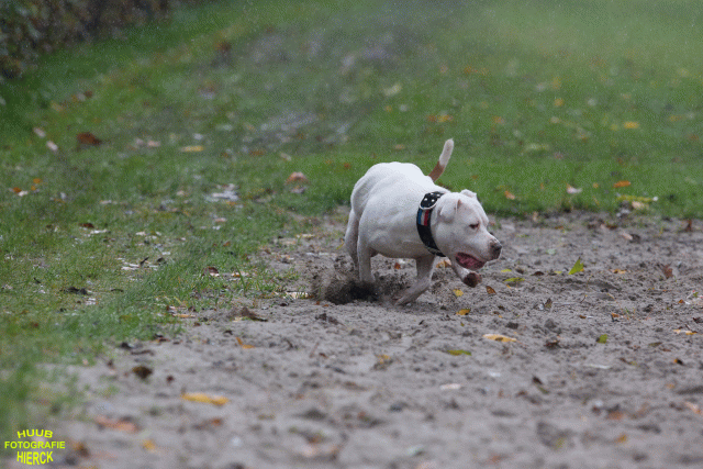 Ct3Q8407 37177233254 O