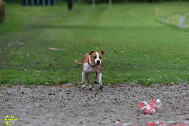 Ct3Q8640 37177278674 O