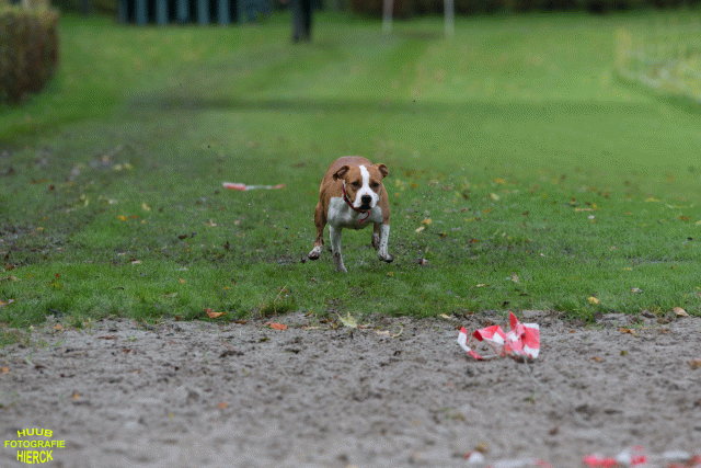 Ct3Q8636 37177278854 O