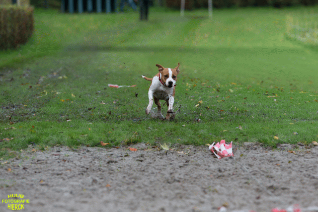 Ct3Q8634 37177279384 O