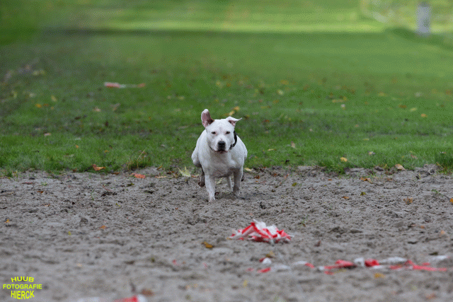 Ct3Q8627 37177279594 O