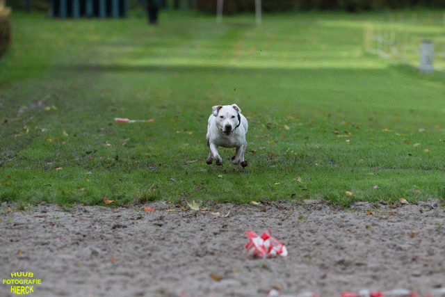 Ct3Q8621 37177279894 O