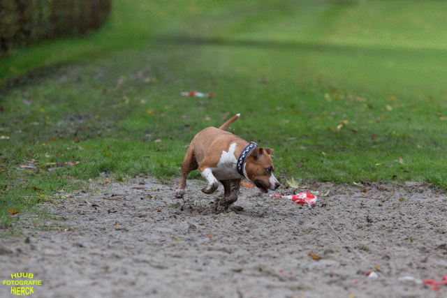 Ct3Q8617 37177280054 O