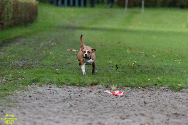 Ct3Q8613 37177280264 O