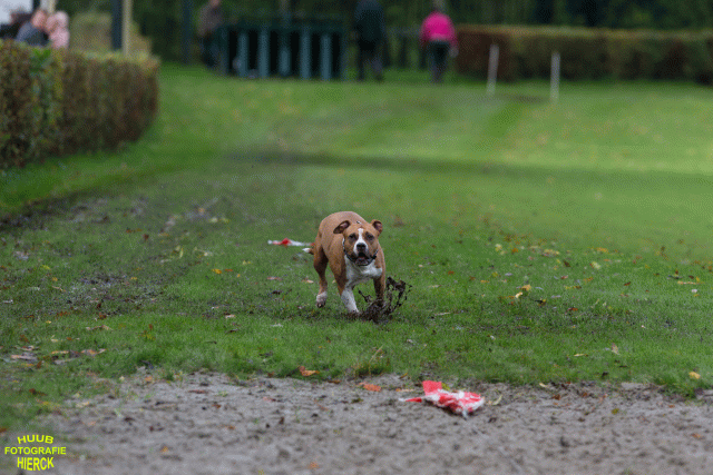 Ct3Q8610 37177280384 O