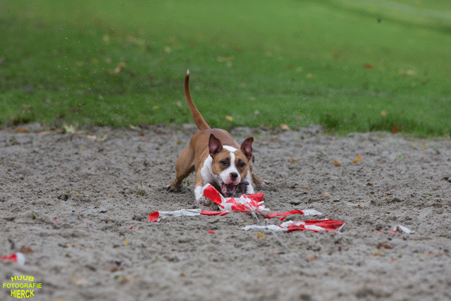 Ct3Q8607 37177280534 O