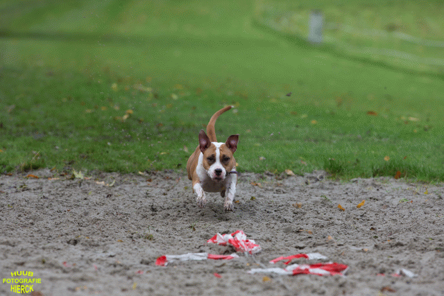 Ct3Q8604 37177280784 O