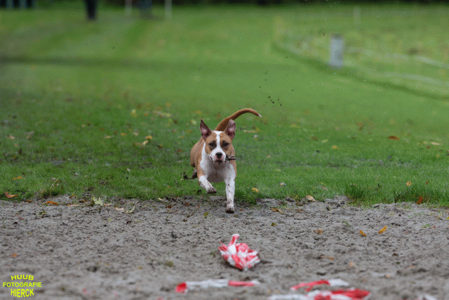 Ct3Q8601 37177280964 O