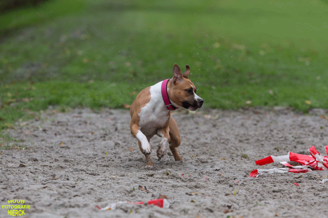 Ct3Q8597 37630091620 O