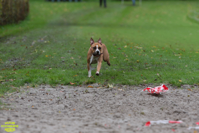 Ct3Q8589 37630091980 O