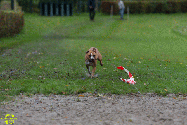 Ct3Q8586 37630092220 O