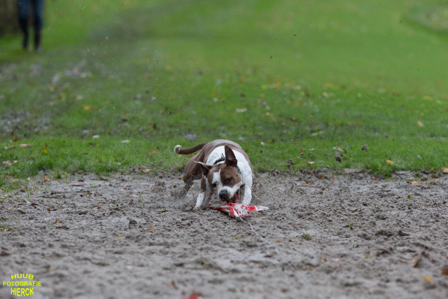 Ct3Q8583 37630092410 O