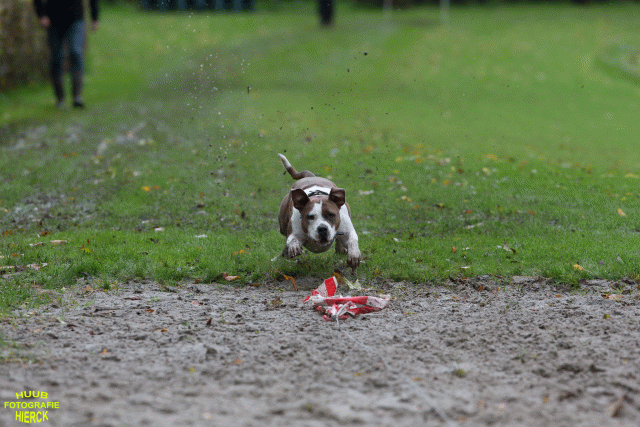 Ct3Q8580 37630092590 O