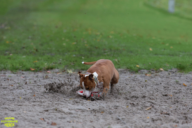 Ct3Q8577 37630092800 O