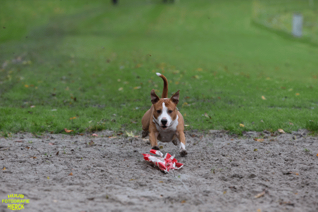 Ct3Q8574 37630093080 O