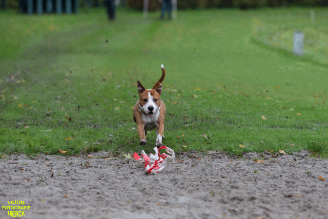 Ct3Q8571 37630093280 O