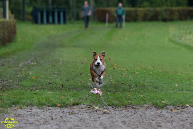 Ct3Q8567 37630093550 O