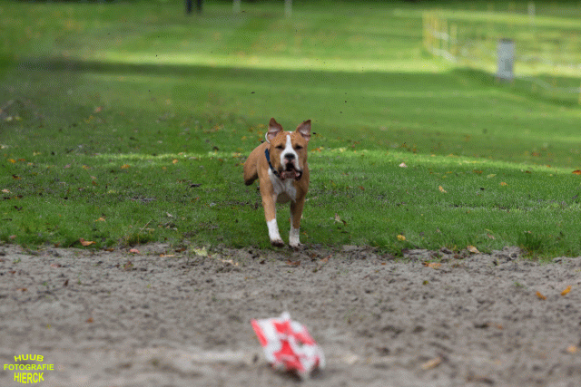 Ct3Q8556 37630093860 O