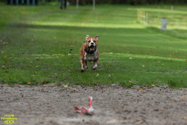 Ct3Q8554 37630094070 O