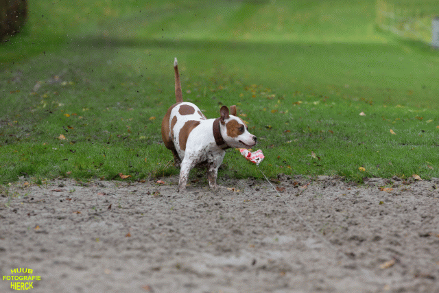 Ct3Q8551 37630094260 O