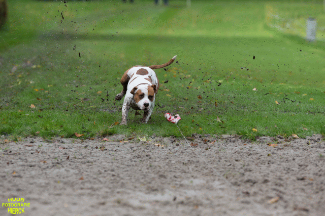 Ct3Q8548 37630094370 O