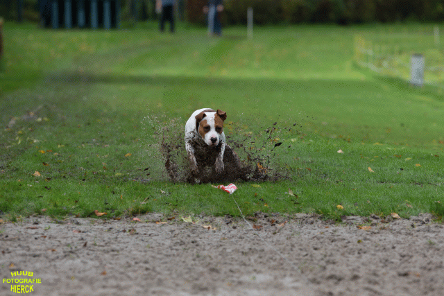 Ct3Q8545 37630094500 O