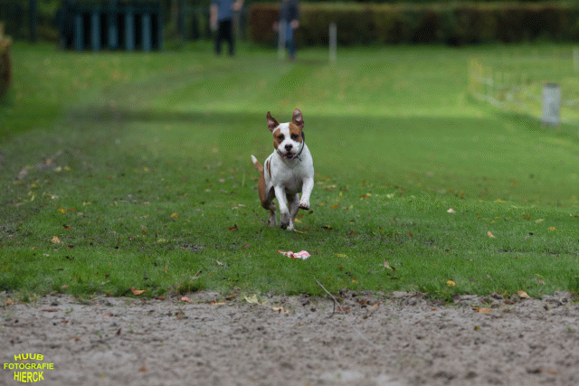 Ct3Q8542 37630094650 O