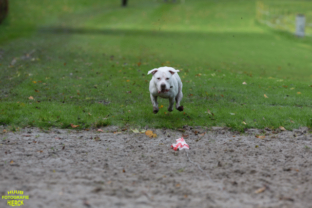 Ct3Q8539 37630094820 O