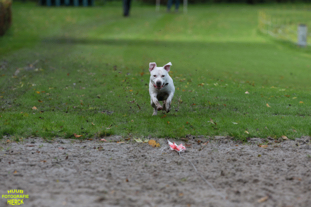 Ct3Q8537 37630094970 O