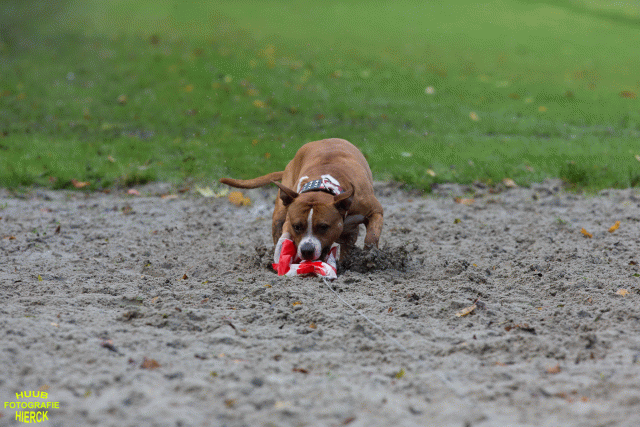 Ct3Q8534 37630096330 O