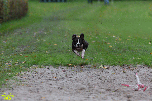 Ct3Q8492 37630100180 O