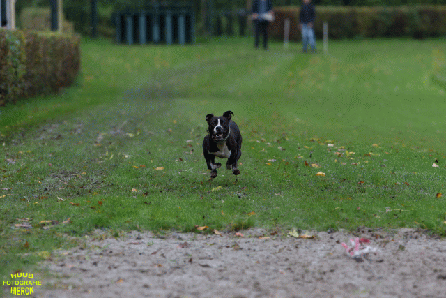 Ct3Q8488 37630100350 O