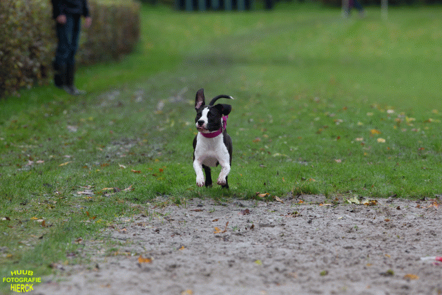 Ct3Q8458 37630103100 O