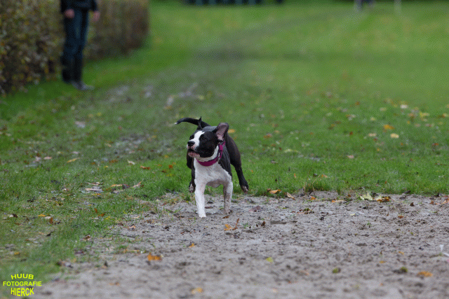 Ct3Q8459 37630103610 O