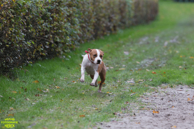 Ct3Q8451 37630103930 O