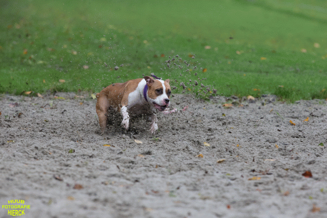 Ct3Q8442 37630104350 O