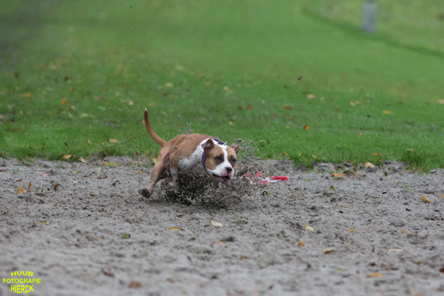 Ct3Q8441 37630104380 O