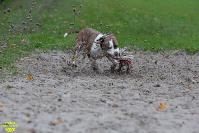 Ct3Q8438 37630104600 O