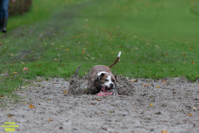 Ct3Q8435 37630104830 O