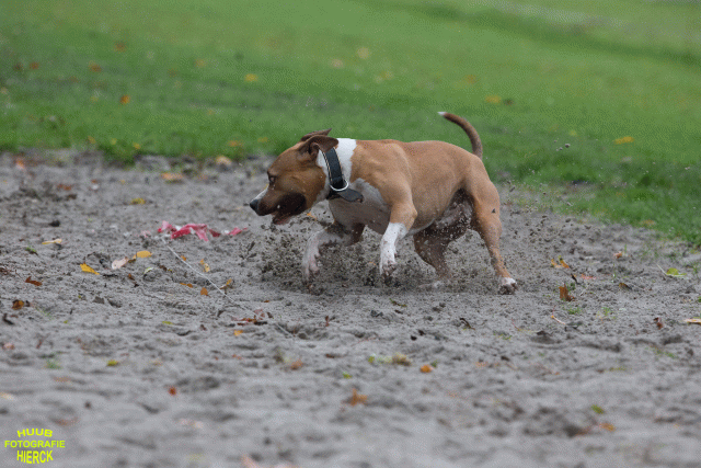 Ct3Q8402 37630107150 O