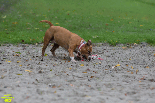 Ct3Q8396 37630107570 O