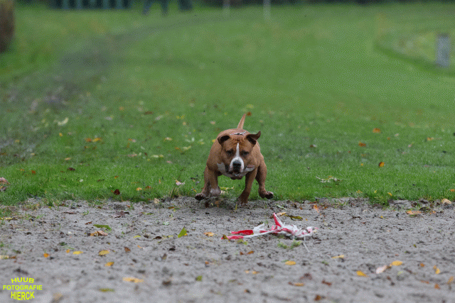 Ct3Q8393 37630107800 O