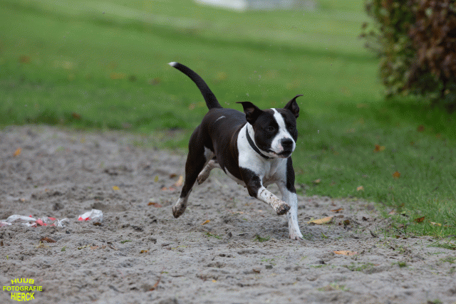 Ct3Q8717 37630150230 O