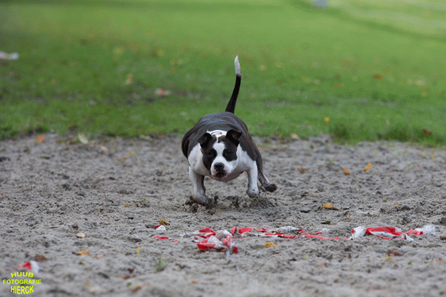 Ct3Q8696 37630150990 O