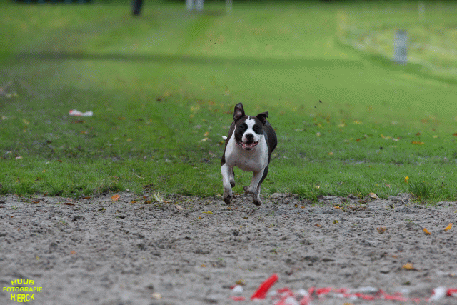 Ct3Q8690 37630151320 O