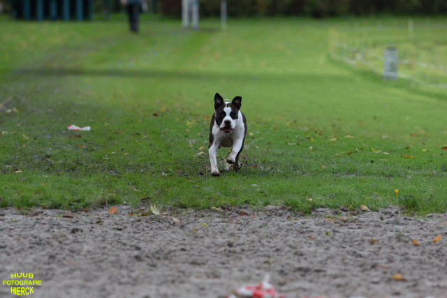 Ct3Q8685 37630151550 O