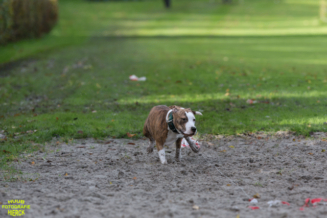 Ct3Q8682 37630151730 O