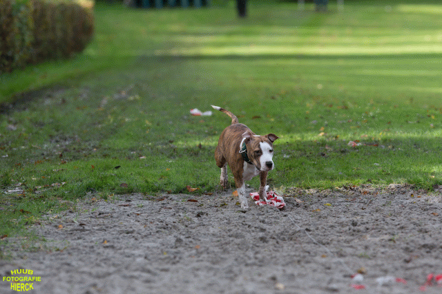 Ct3Q8679 37630151870 O