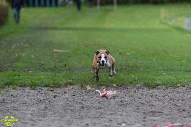 Ct3Q8664 37630152570 O