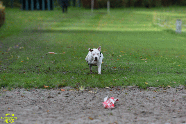 Ct3Q8620 37630154260 O